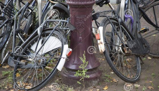 naakt verhoging versus Gratis oude fiets ophalen - Van Tuyl Metaalrecycling | Oud IJzer brengen in  Oss en omstreken